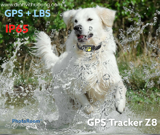 gps_pet_tracker_z8